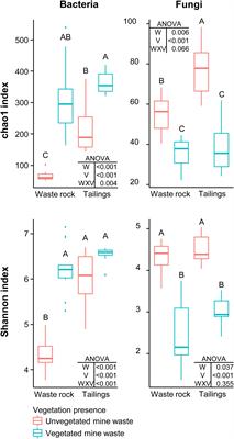 Plant Genotype Influences Physicochemical Properties of Substrate as Well as Bacterial and Fungal Assemblages in the Rhizosphere of Balsam Poplar